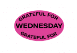 Mahalo Stickers Oval 33x20mm matt Wednesday