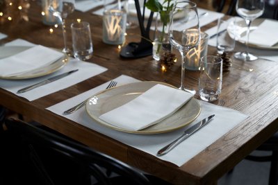 Bio Dunisoft® servett 48 x 48 cm Vit